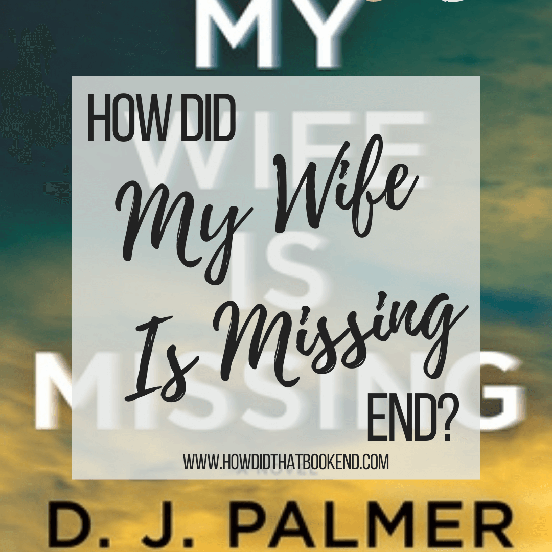 DJ Palmer My Wife Is Missing – Bookends